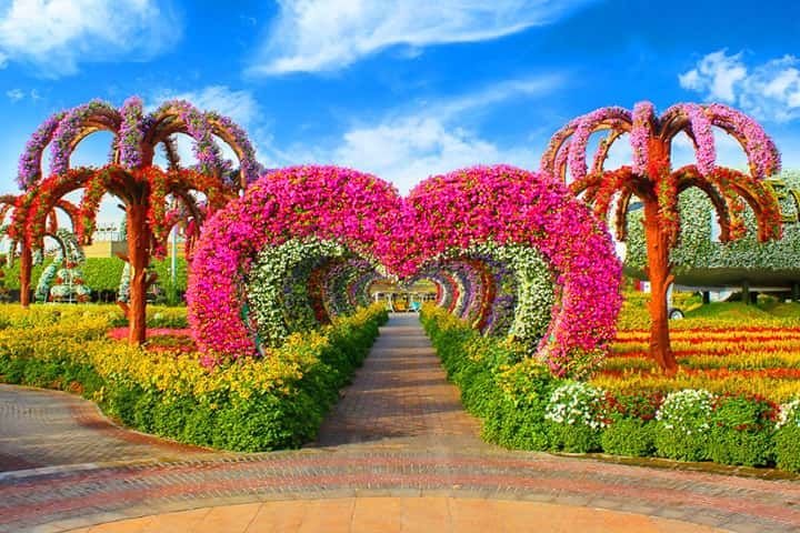 Visit to Dolphinarium | Miracle Garden & Global Village Tour