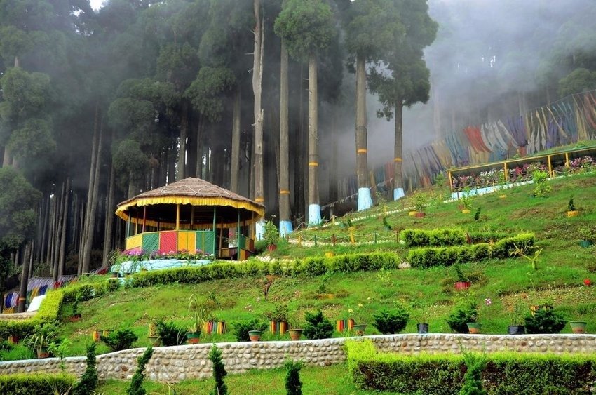 Darjeeling to Lamahatta