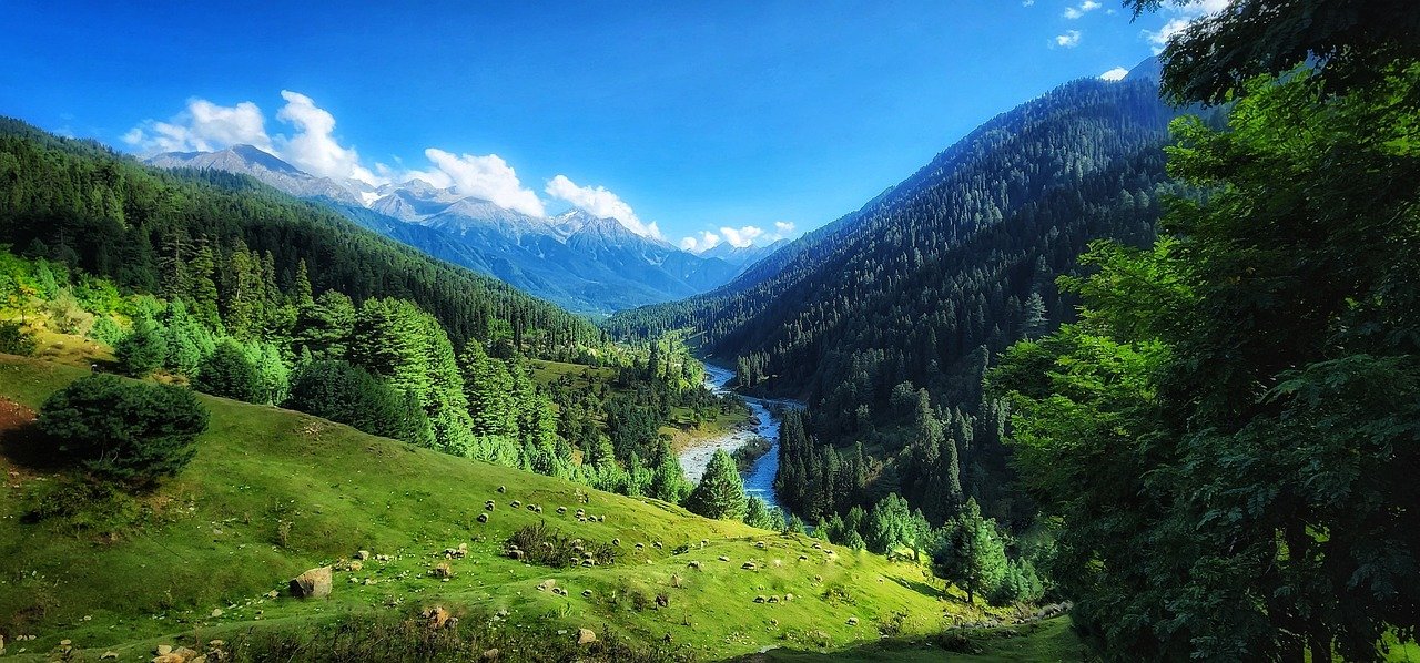 Srinagar - Sonmarg- Srinagar   (85 Km / 3 Hrs)