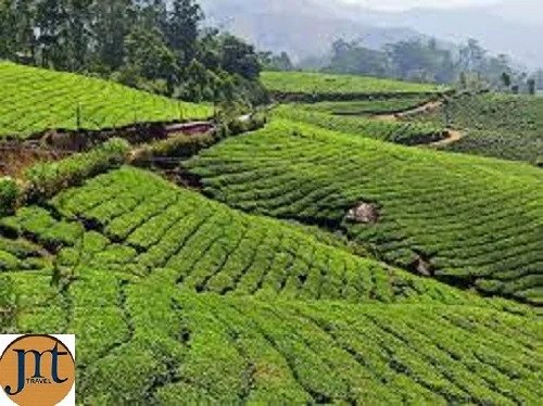 Tea Museum Munnar